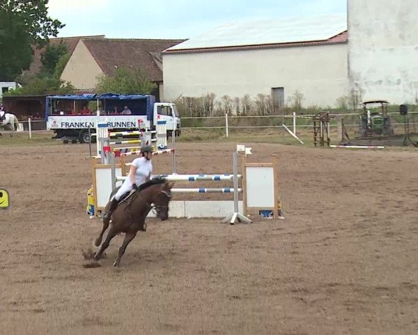 Reitturnier Demantsfürth/Mfr. 2019
