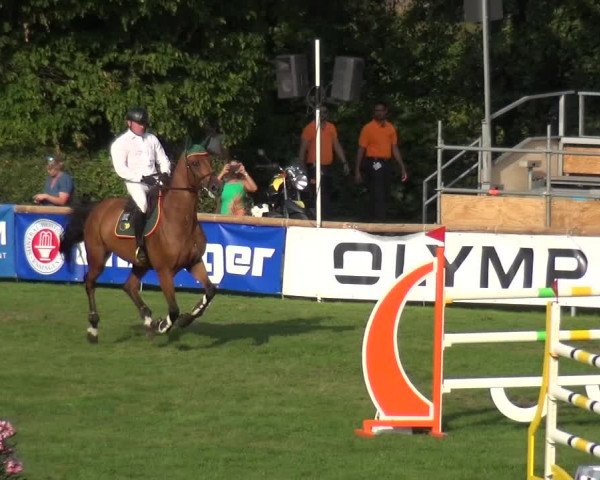 Reitturnier Bietigheim-Bissingen 2019