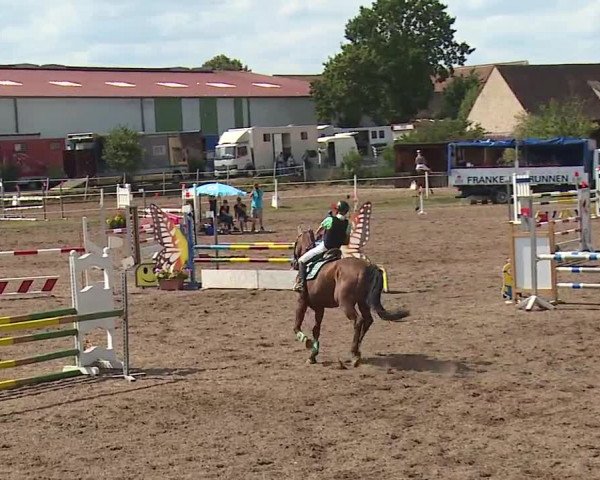 Reitturnier Demantsfürth/Mfr. 2019