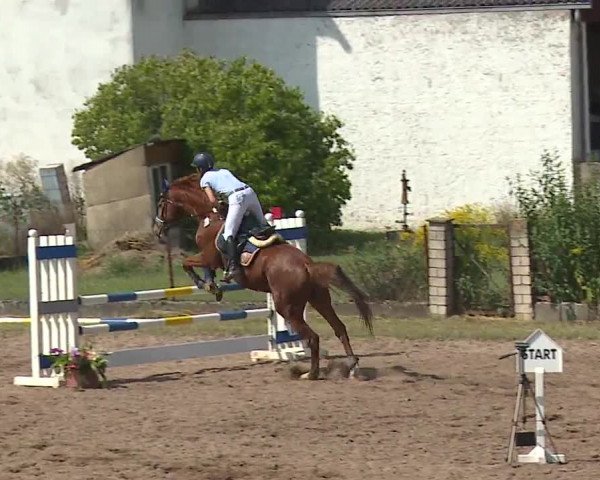 Reitturnier Demantsfürth/Mfr. 2019