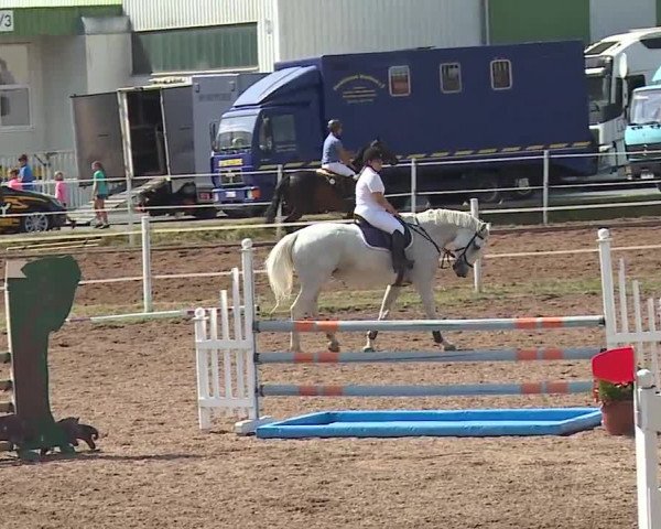 Reitturnier Demantsfürth/Mfr. 2019
