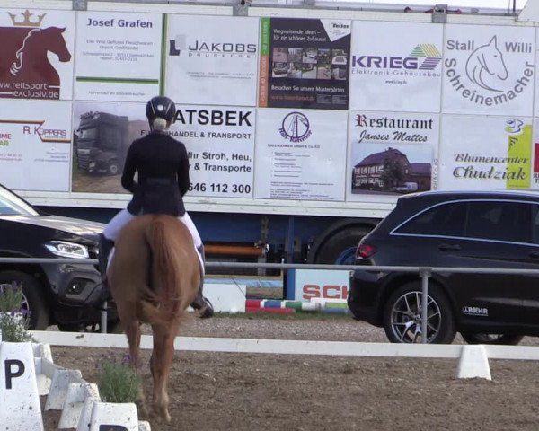 Reitturnier Heinsberg 2019