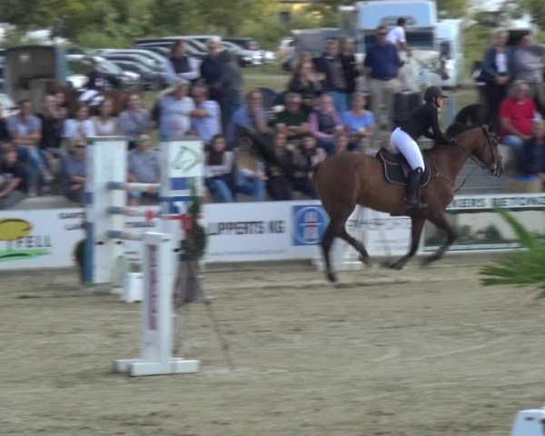 Reitturnier Heinsberg 2019