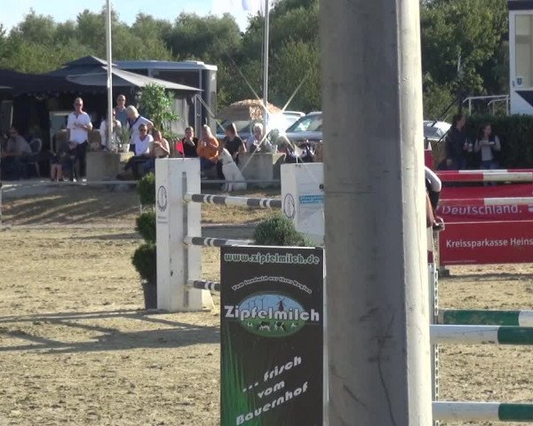 Reitturnier Heinsberg 2019