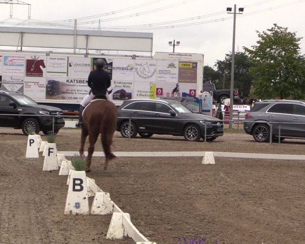 Reitturnier Heinsberg 2019