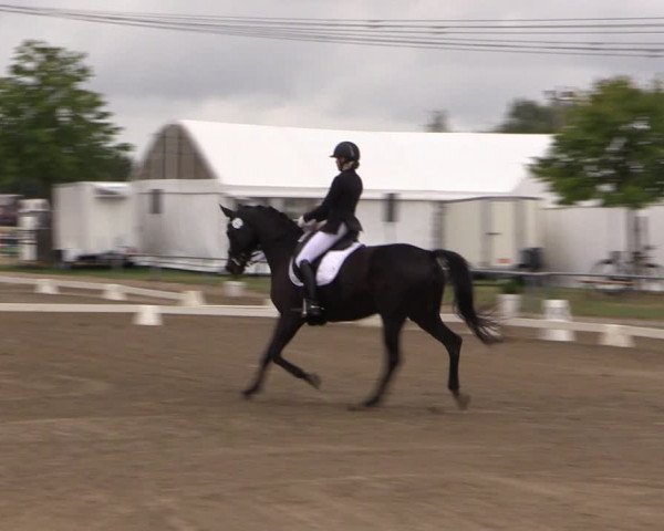 Reitturnier Heinsberg 2019