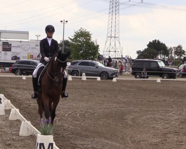 Reitturnier Heinsberg 2019