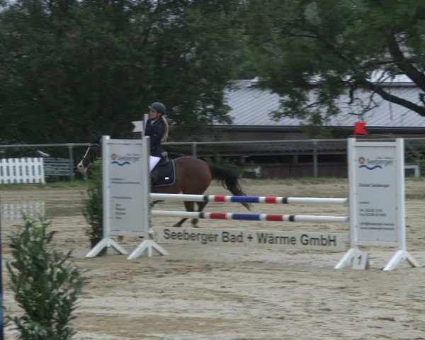 Reitturnier Bühren-Breckerfeld 2019
