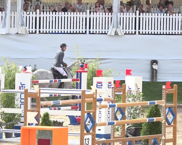 Reitturnier Humlikon 2019