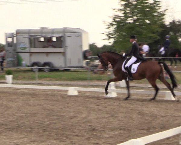 Reitturnier Heinsberg 2019