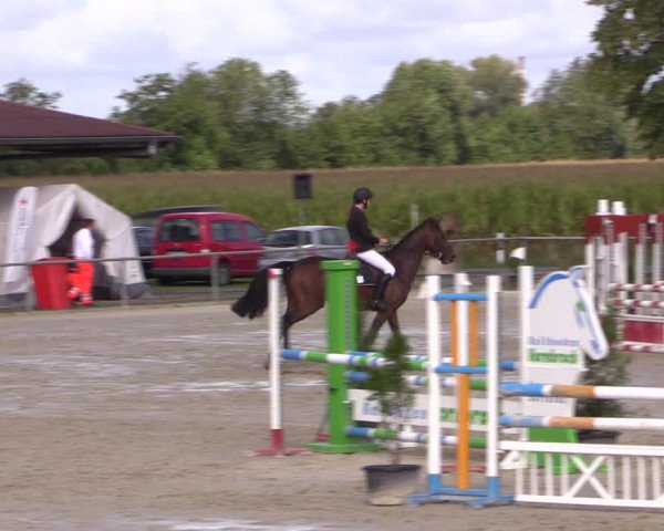Reitturnier Appelhülsen 2019