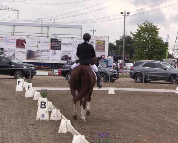 Reitturnier Heinsberg 2019