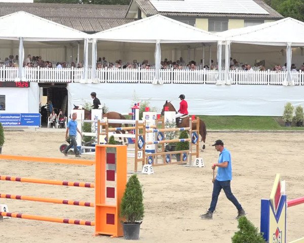 Reitturnier Humlikon 2019