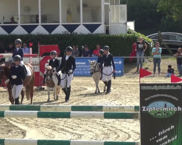 Reitturnier Heinsberg 2019