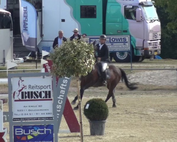Reitturnier Heinsberg 2019