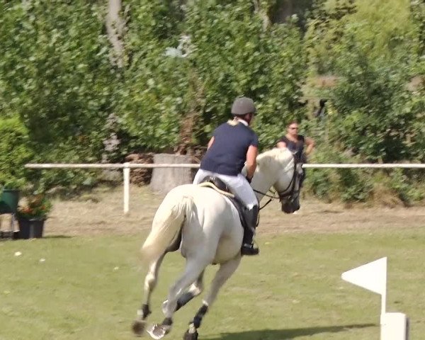 Reitturnier Reckahn 2019