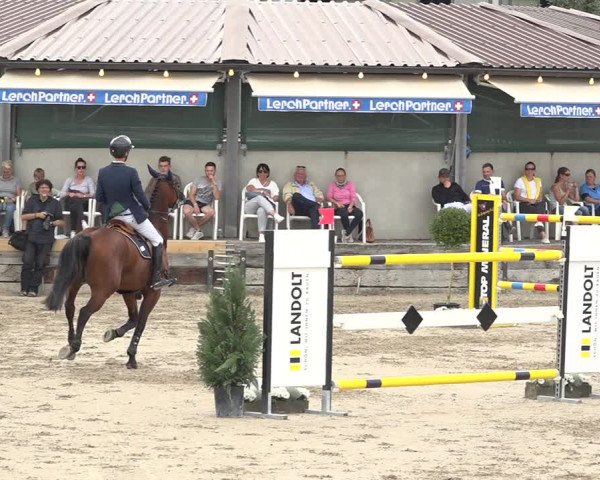 Reitturnier Humlikon 2019