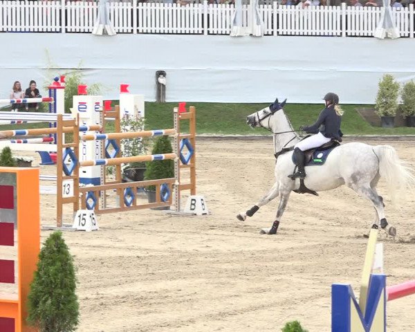 Reitturnier Humlikon 2019