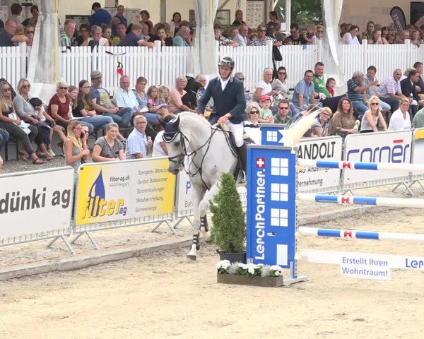 Reitturnier Humlikon 2019