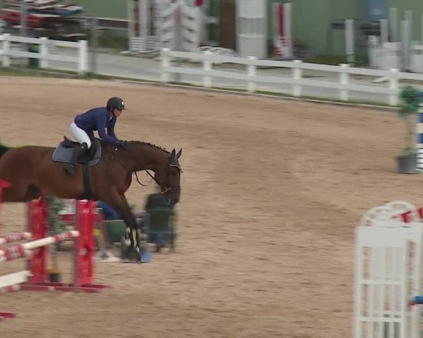 Reitturnier Kreuth/Opf. 2019
