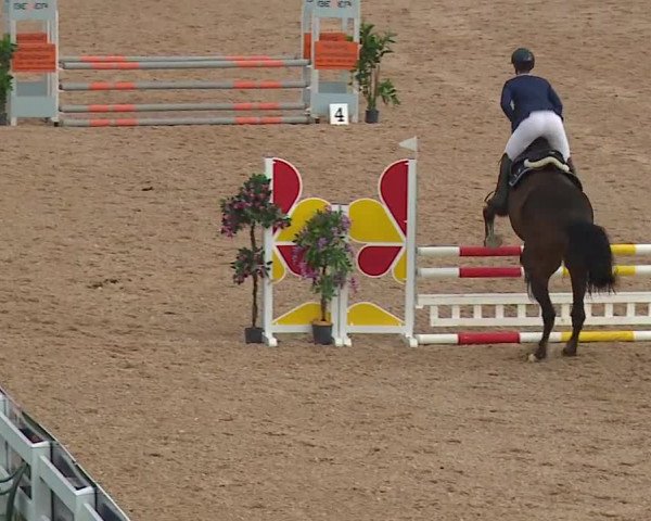Reitturnier Kreuth/Opf. 2019