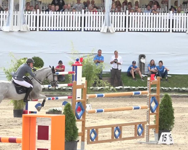 Reitturnier Humlikon 2019