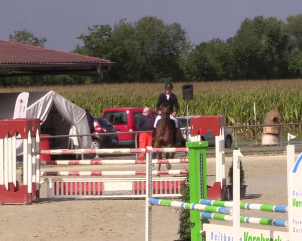 Reitturnier Appelhülsen 2019