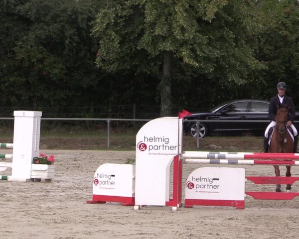 Reitturnier Appelhülsen 2019