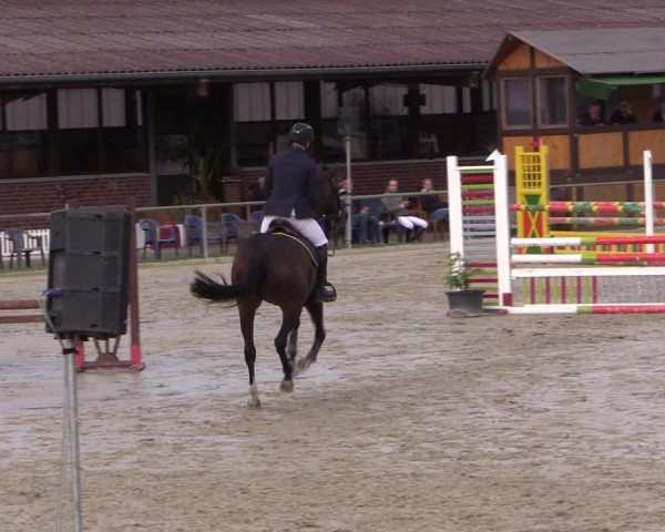 Reitturnier Appelhülsen 2019