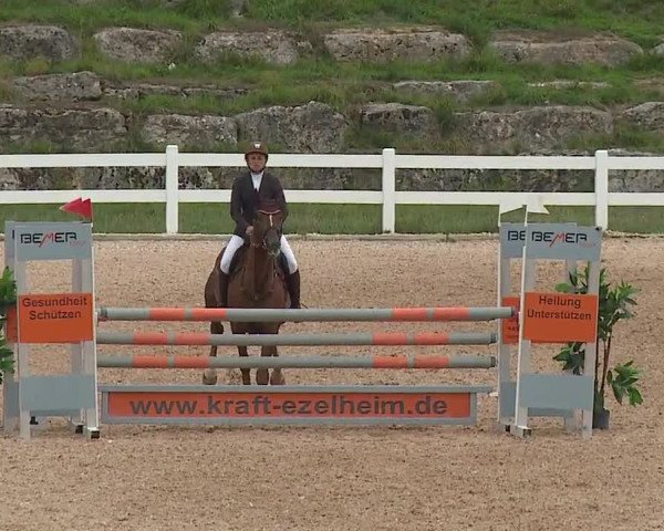 Reitturnier Kreuth/Opf. 2019
