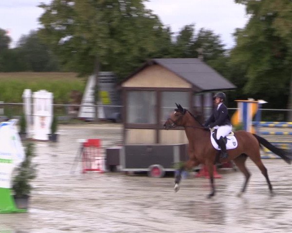 Reitturnier Appelhülsen 2019
