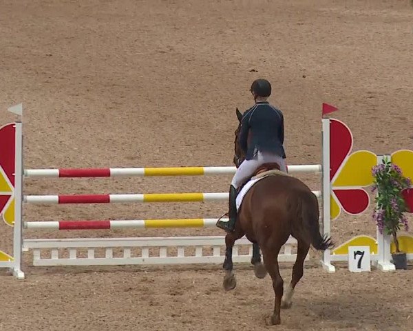 Reitturnier Kreuth/Opf. 2019