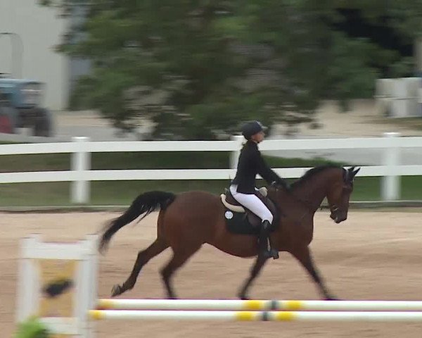 Reitturnier Kreuth/Opf. 2019