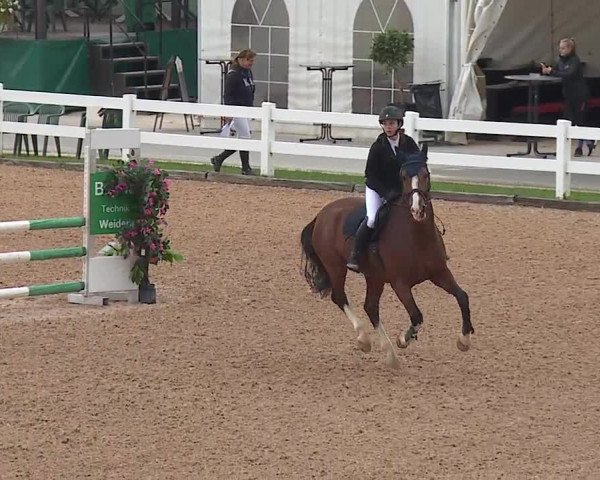 Reitturnier Kreuth/Opf. 2019