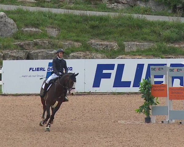 Reitturnier Kreuth/Opf. 2019