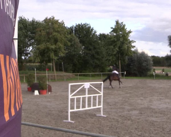 Reitturnier Appelhülsen 2019