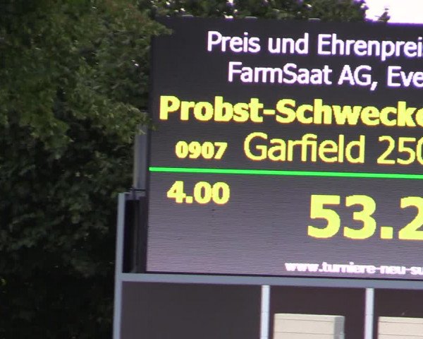 Reitturnier Appelhülsen 2019