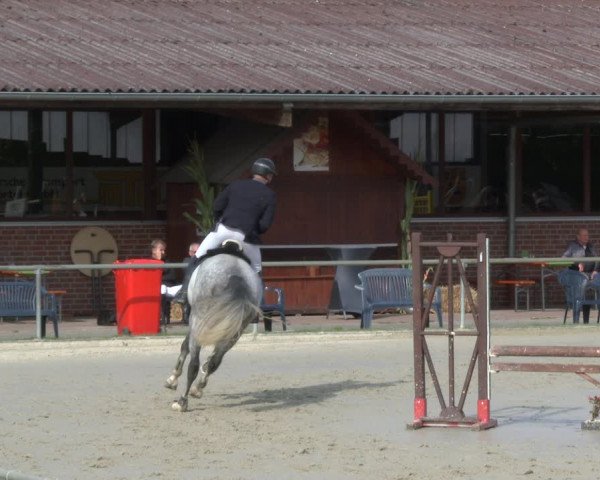 Reitturnier Appelhülsen 2019