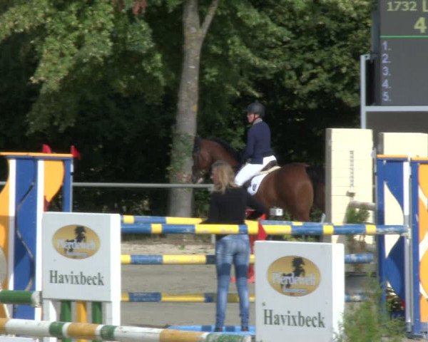 Reitturnier Appelhülsen 2019