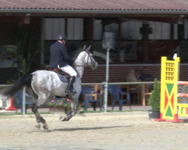 Reitturnier Appelhülsen 2019
