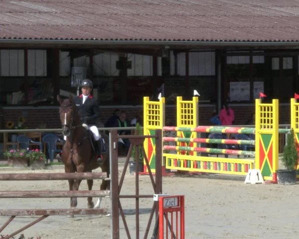 Reitturnier Appelhülsen 2019