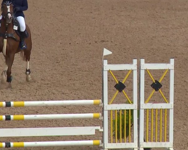 Reitturnier Kreuth/Opf. 2019