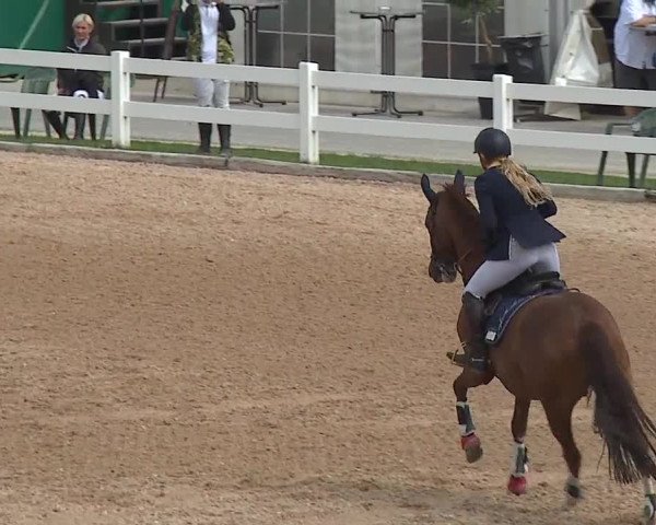 Reitturnier Kreuth/Opf. 2019