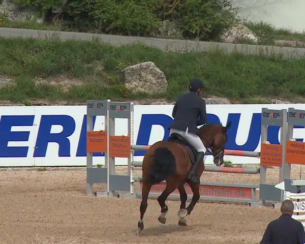Reitturnier Kreuth/Opf. 2019