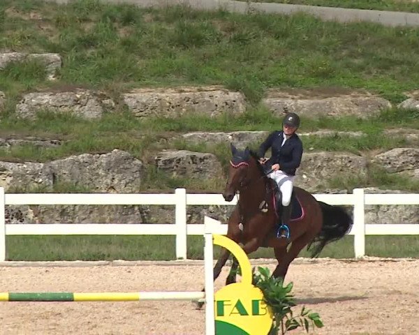 Reitturnier Kreuth/Opf. 2019