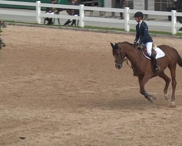 Reitturnier Kreuth/Opf. 2019