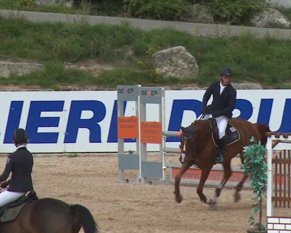 Reitturnier Kreuth/Opf. 2019