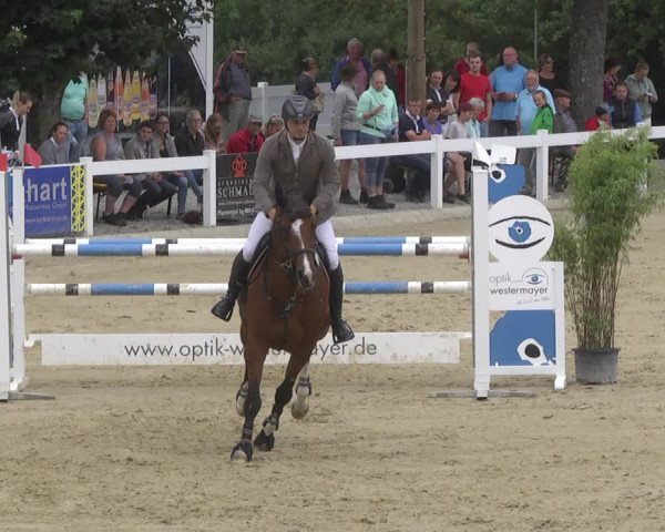 Reitturnier Hauerz 2019