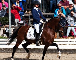 Deckhengst Cosmopolitan NRW (Deutsches Reitpony, 2010, von FS Champion de Luxe)