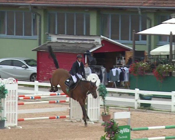 Reitturnier Kreuth/Opf. 2019